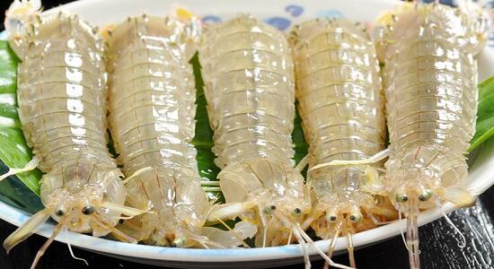 1760257294.jpg tupian_lainiaoxia2.jpg