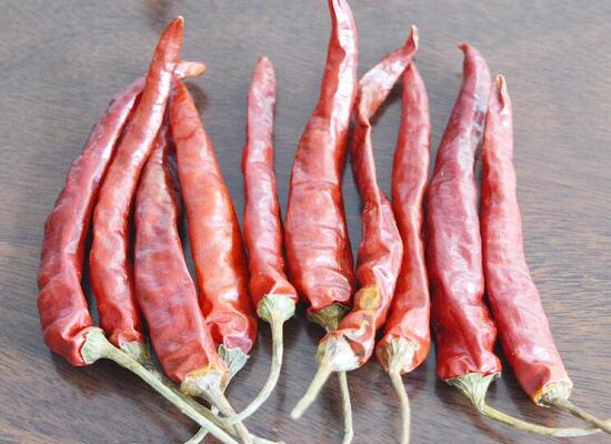 1760260067.jpg tupian_lajiao2.jpg