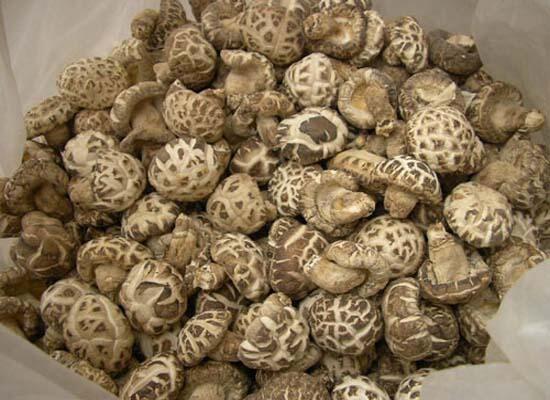 1760260874.jpg tupian_donggu.jpg