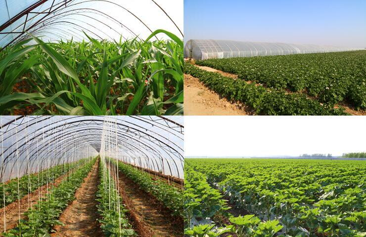 1760955369.jpg tupian_jidi10.jpg