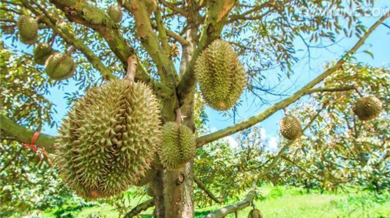 1762508318302482.png 3adab259d98c9ad7648cc0b1a154b06e.png